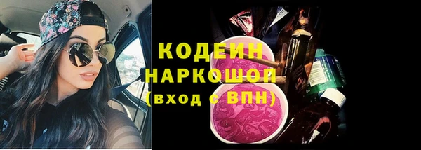 молекула духа Арсеньев
