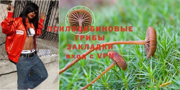2c-b Алзамай