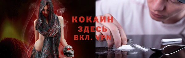 молекула духа Арсеньев