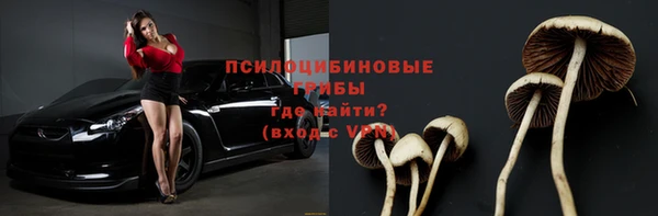 мяу мяу мука Аркадак